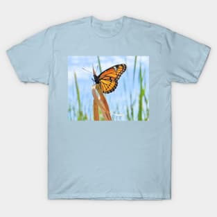 Viceroy Butterfly T-Shirt